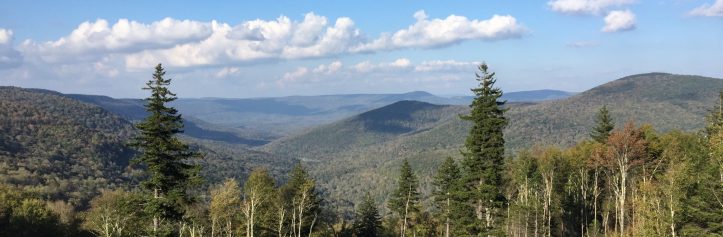 Panoramic view of the Appalachian Mountains with green trees and a blue sky