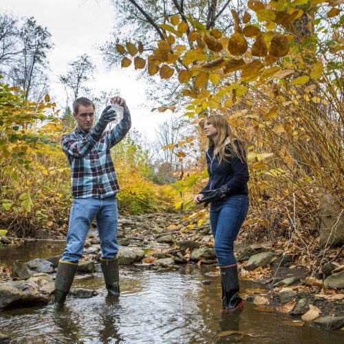 FSU Applied Ecology
