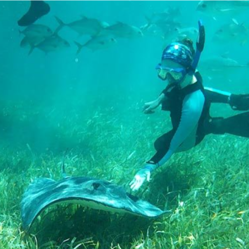 Scuba diving student with sting ray