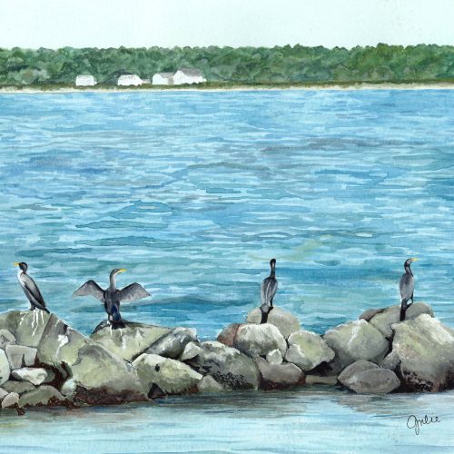 Double-Crested Cormorants drying their wings near the research pier at Horn Point Laboratory on the Choptank River. Original artwork by Julie Trommatter.