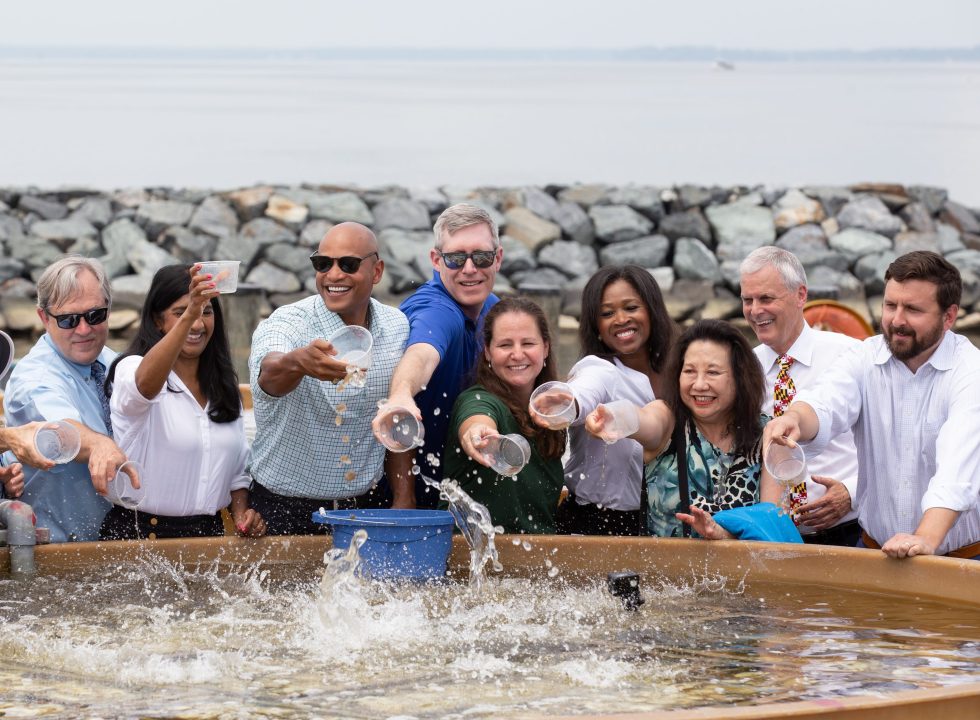 Governor Moore and his cabinet toss oyster spat into a giant vat filled with water