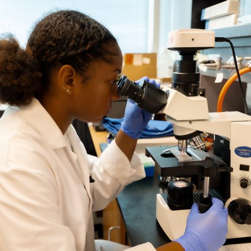 Intern looks through a microscope