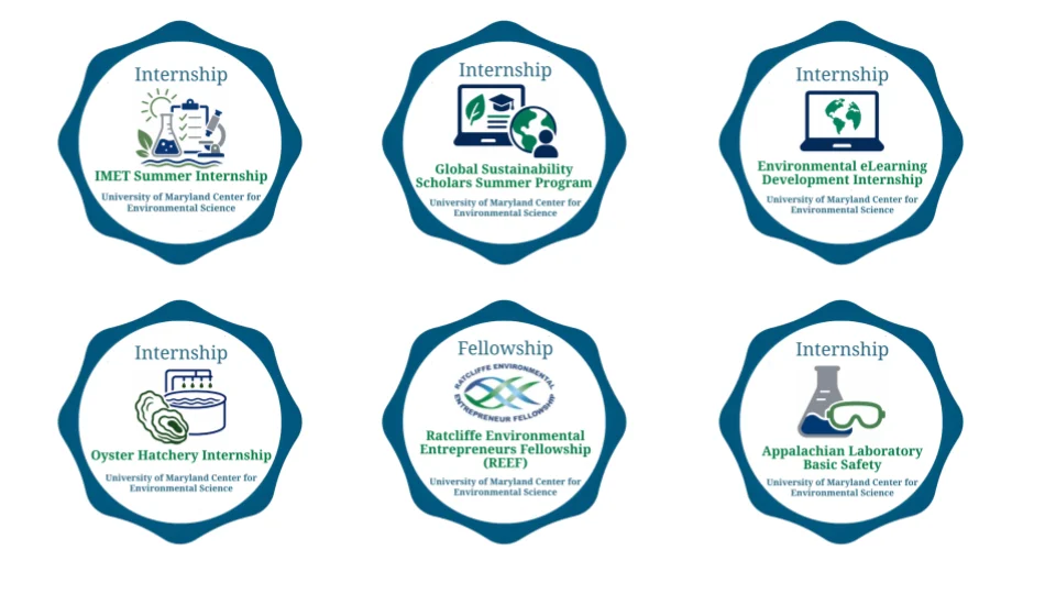 Six badges offered by the Office of Professional Studies