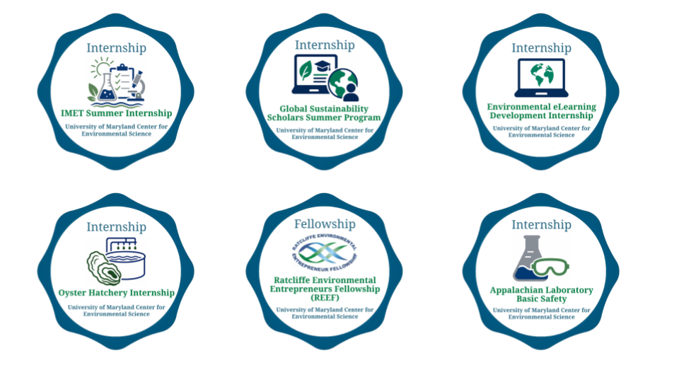 Six badges offered by the Office of Professional Studies