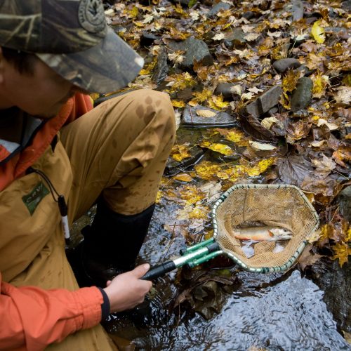 Wildlife Fisheries Biology