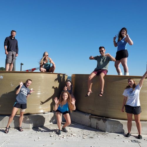 Interns at the Horn Point Laboratory Oyster Facility