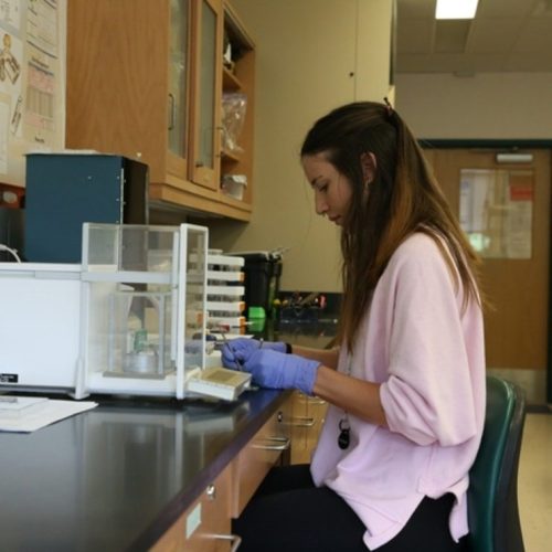 Female works on specimens at a lab table