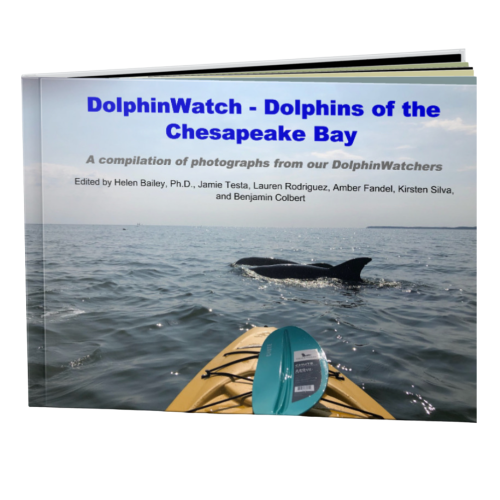 DolphinWatch Book Cover