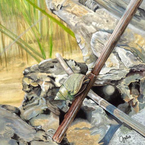 A marsh periwinkle climbing a stem of saltmarsh cordgrass on Horn Point campus. Original artwork by Julie Trommatter.
