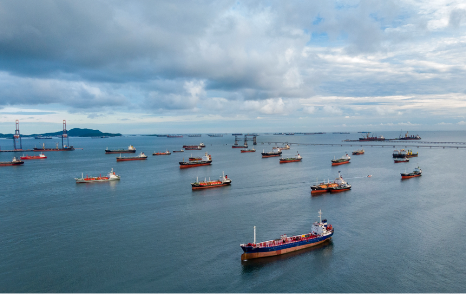 Scientists caution that stranded ships could cause biofouling super spreader event