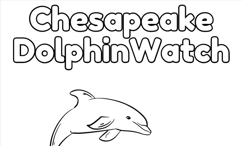 DolphinWatch Coloring Page