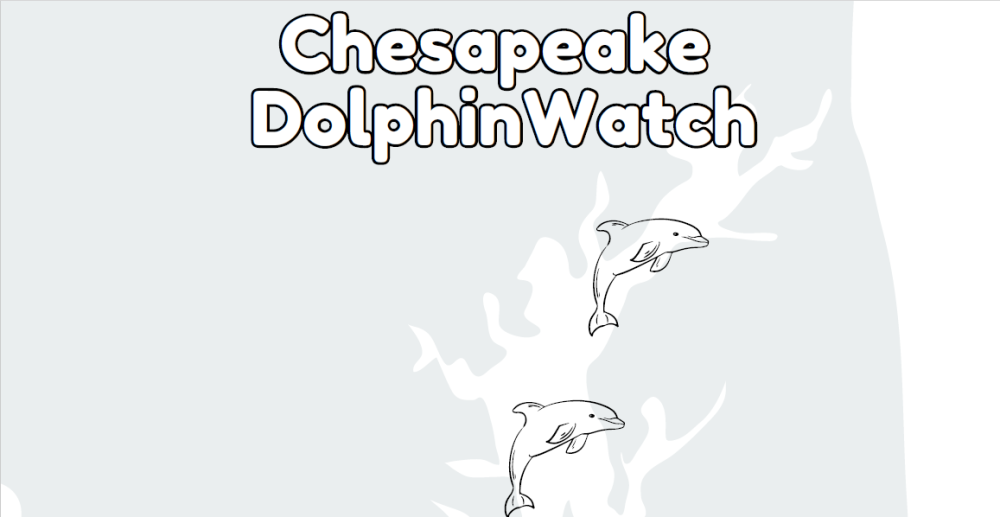 DolphinWatch Coloring Page