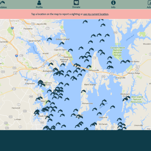 Map of the Chesapeake Bay with dolphin icons to indicate sightings