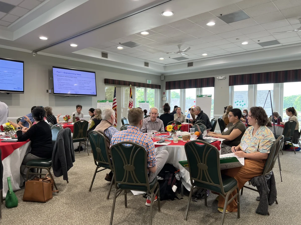 A room of people discuss topics at a workshop