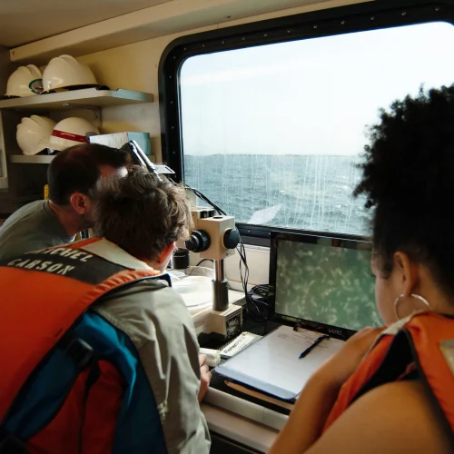 Students analyze data on a research cruise