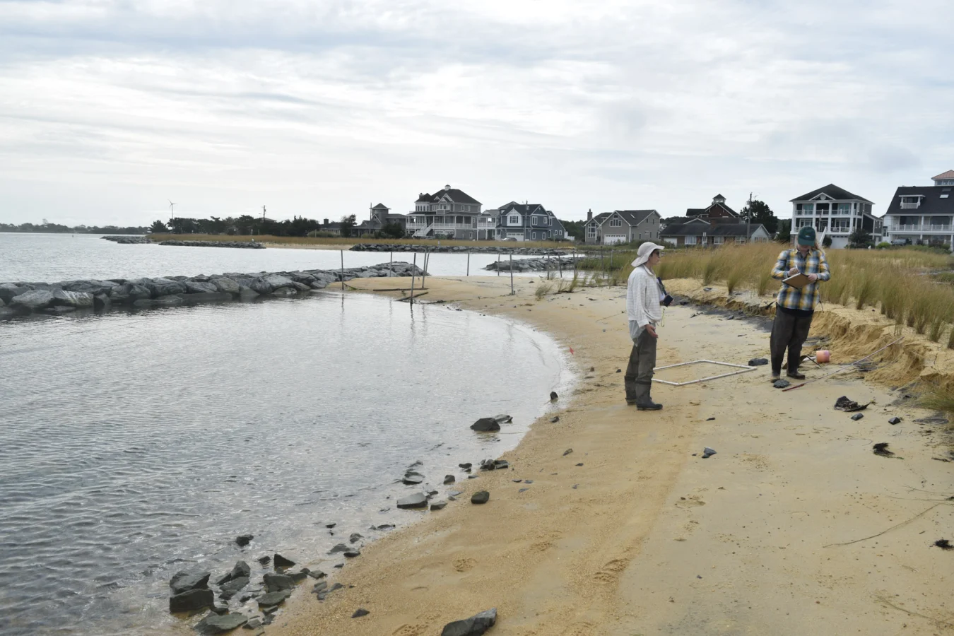 Two researchers stand on a beach created by a living shoreline project