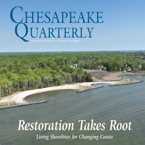 Magazine Cover for Chesapeake Quarterly magazine