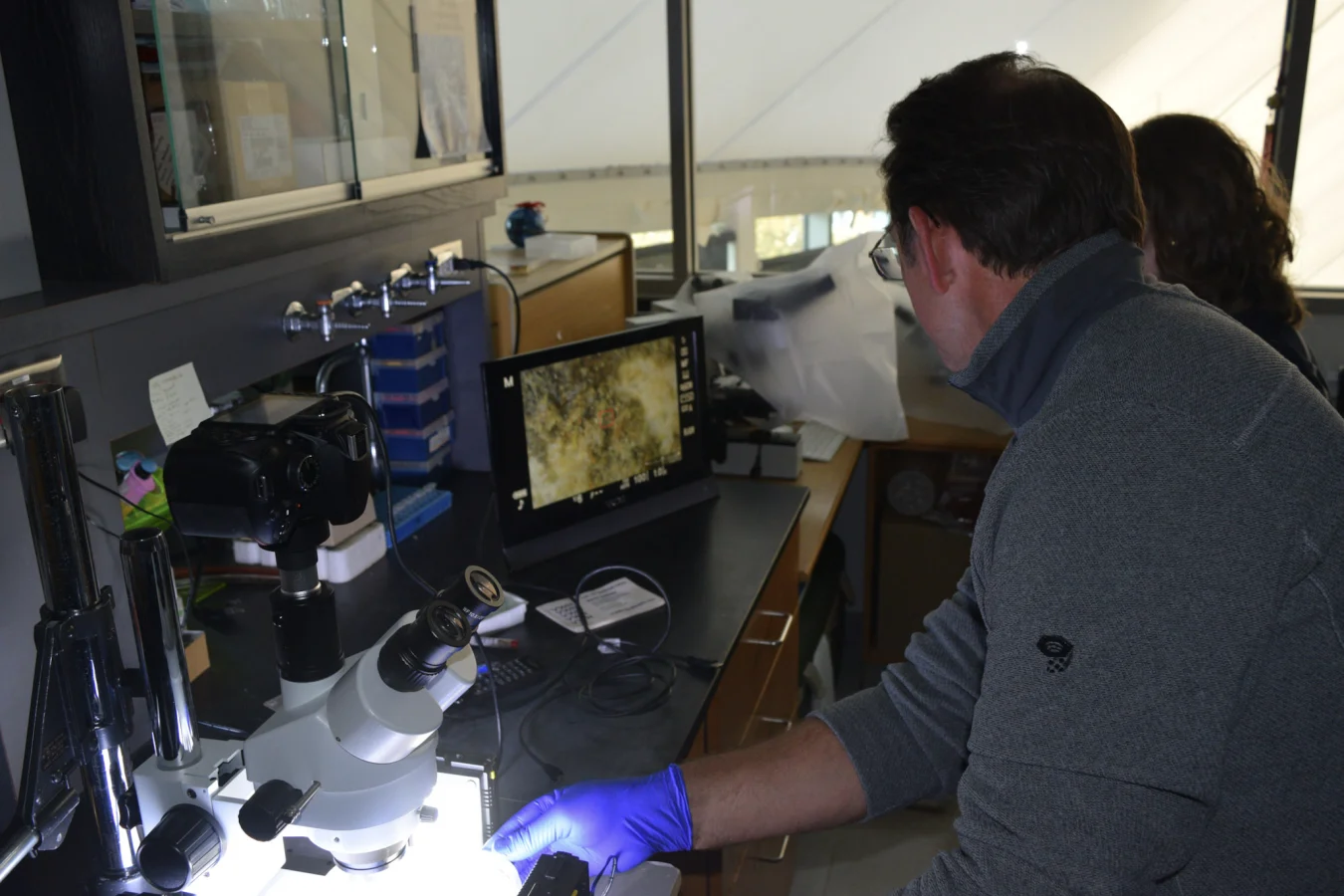 An educator looks into a microscope in a darkened room
