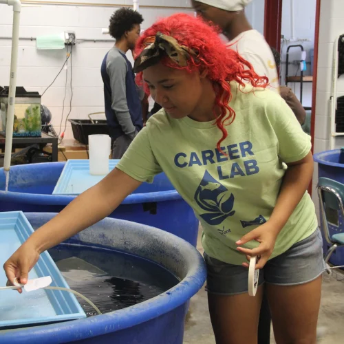 Student works with an aquaculture tank