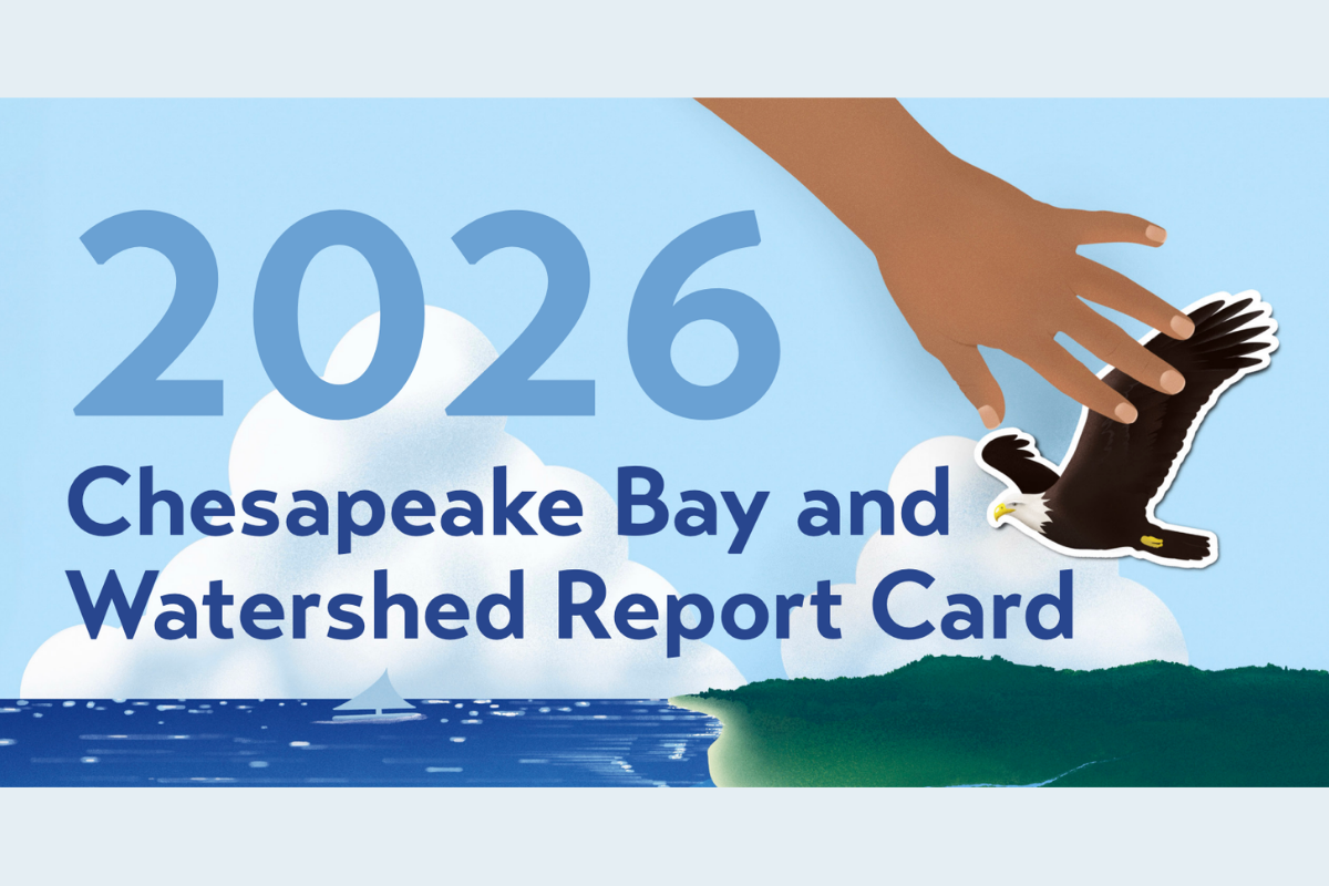 Highest Score Ever Achieved for UMCES’s Chesapeake Bay and Watershed Report Card