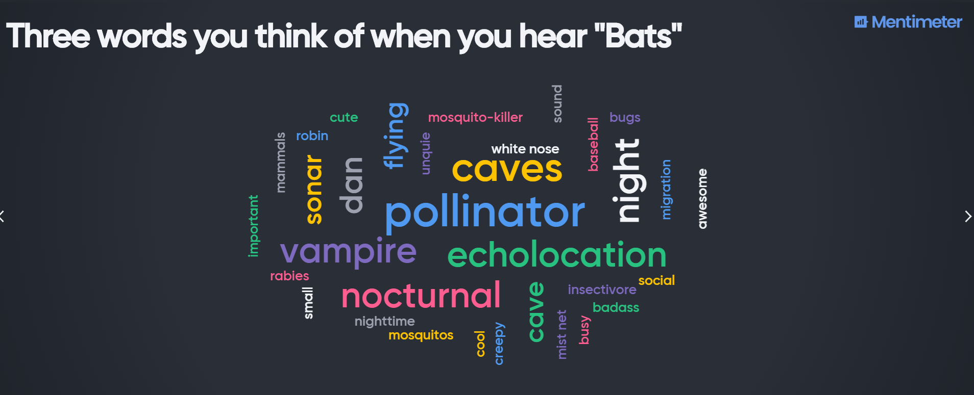 Word cloud generated before bat presentation. 