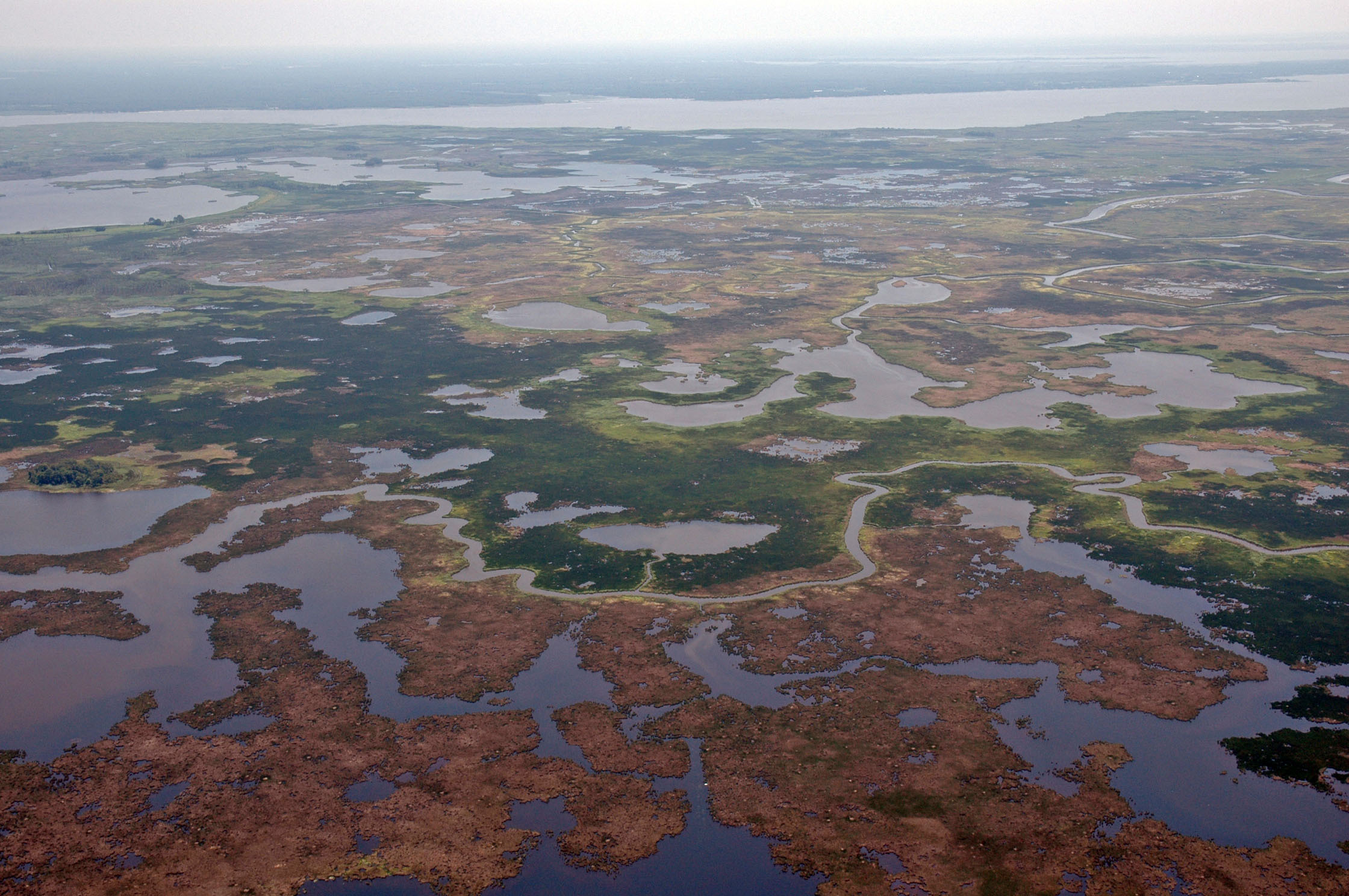 Blackwater From the sky.
