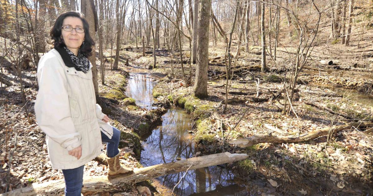 Watershed scientist Solange Filoso is studying how stream restoration projects in Anne Arundel County affect water quality. Photo by Jeffrey Brainard
