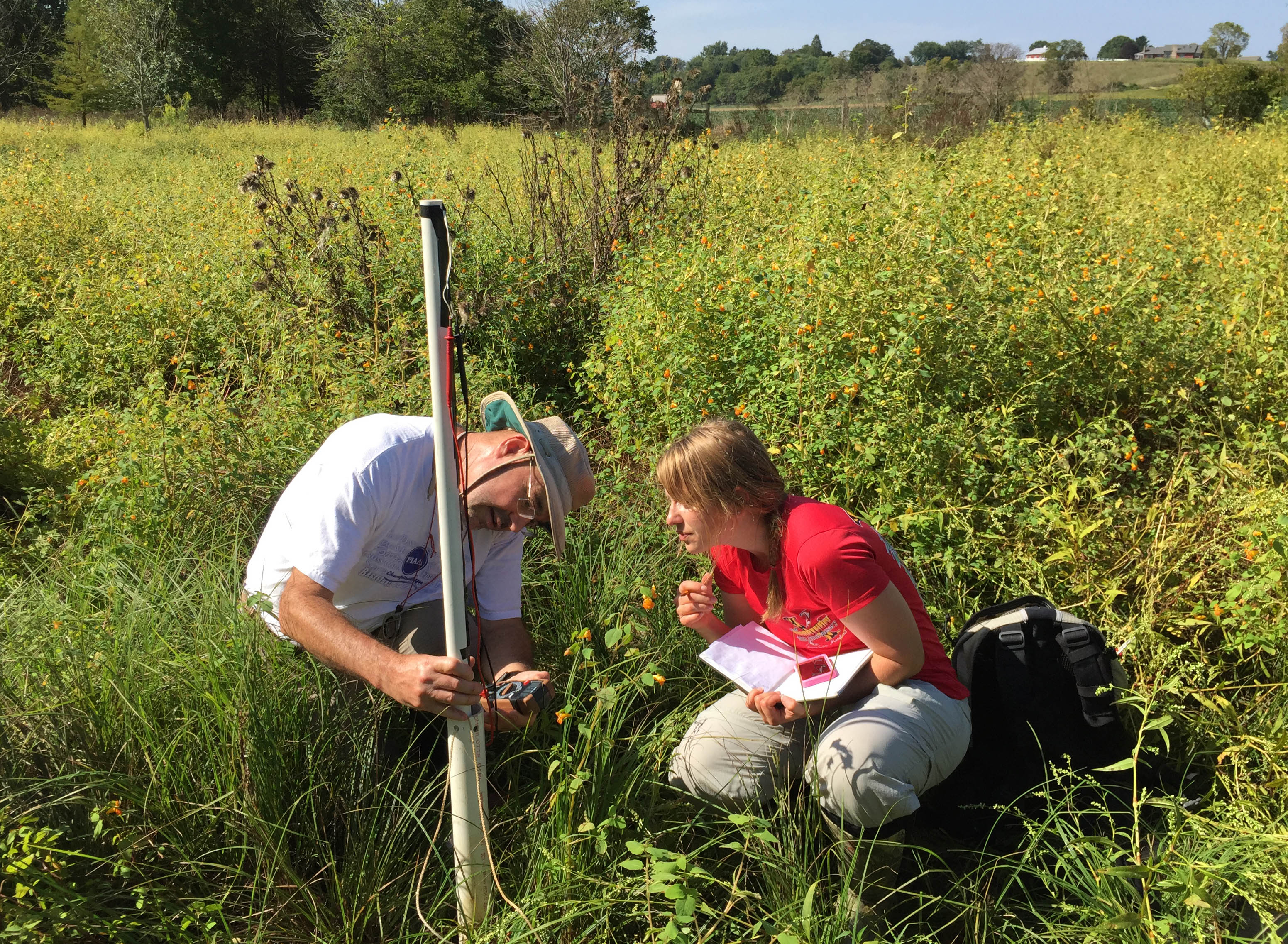 Two scientists work in a field to investigate groundwater.