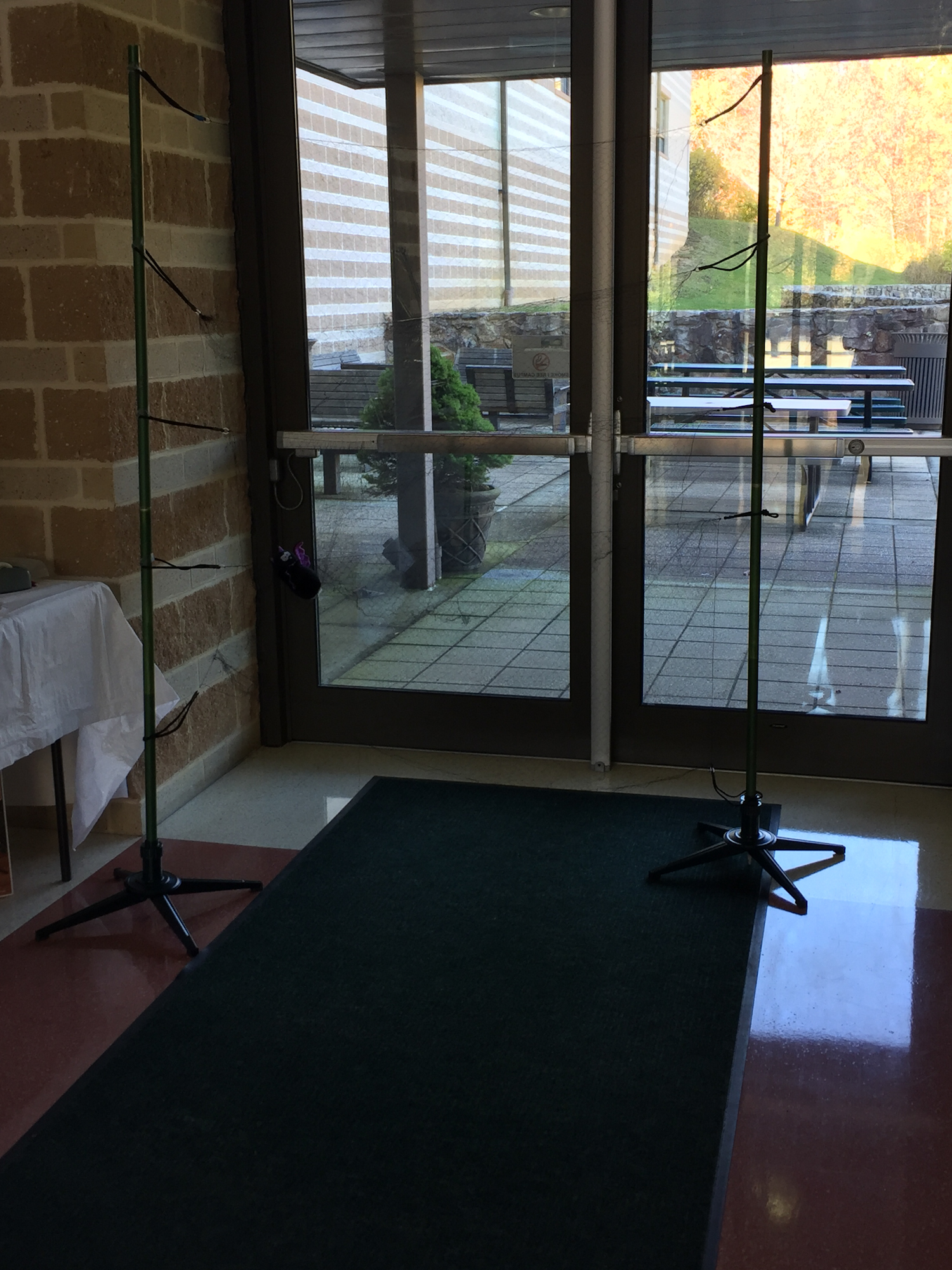 Mist net on display in lobby of Appalachian Laboratory. 