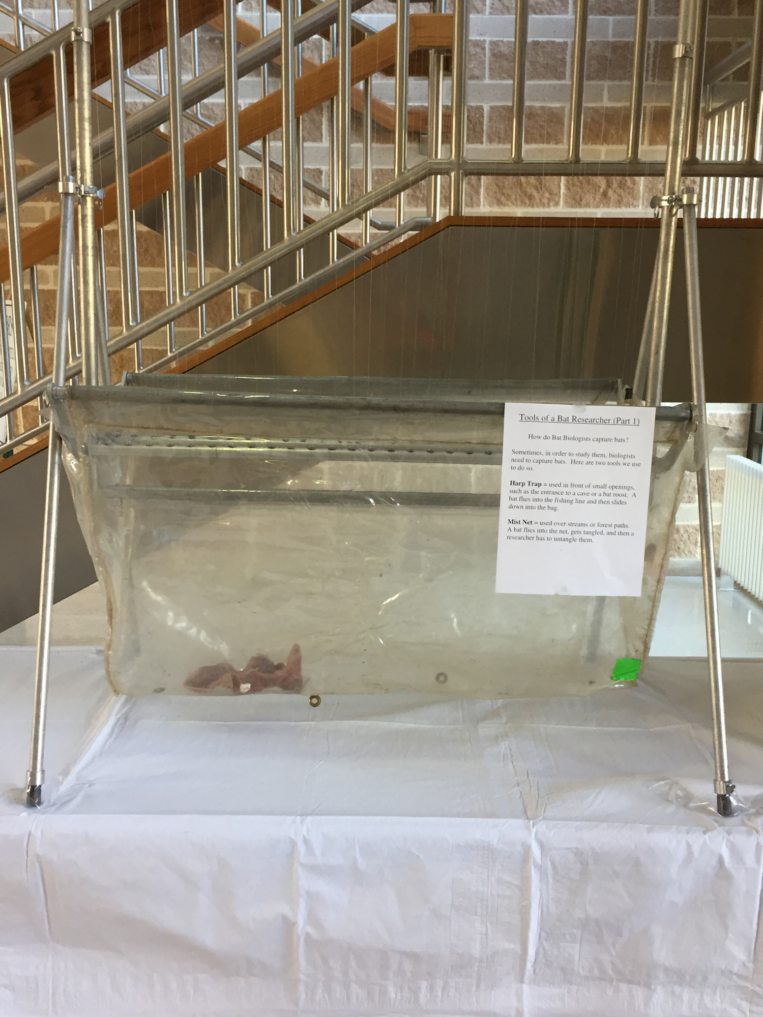 Harp trap on display in lobby of Appalachian Laboratory 