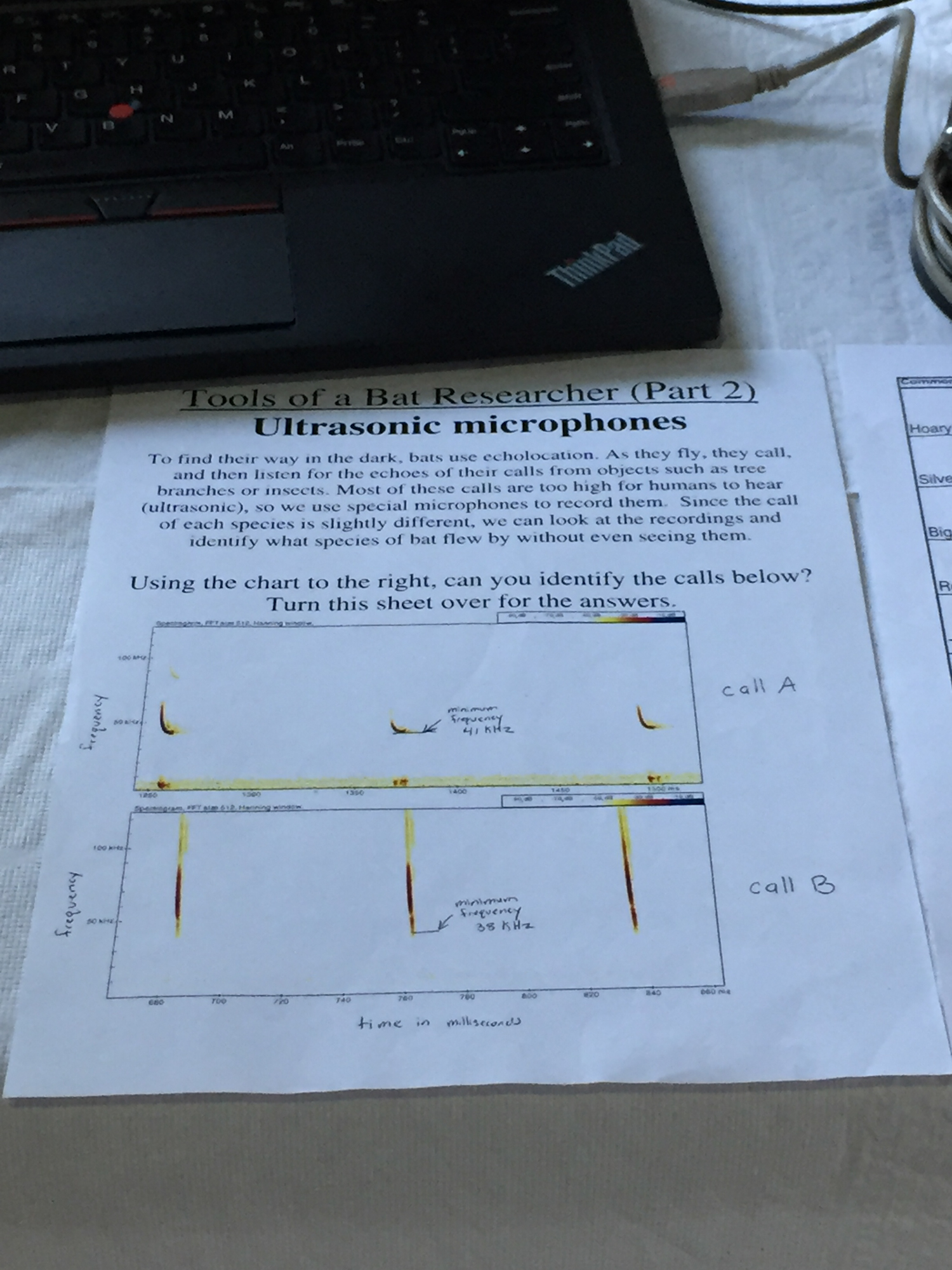 Image of sample chart output from ultrasonic microphones. 