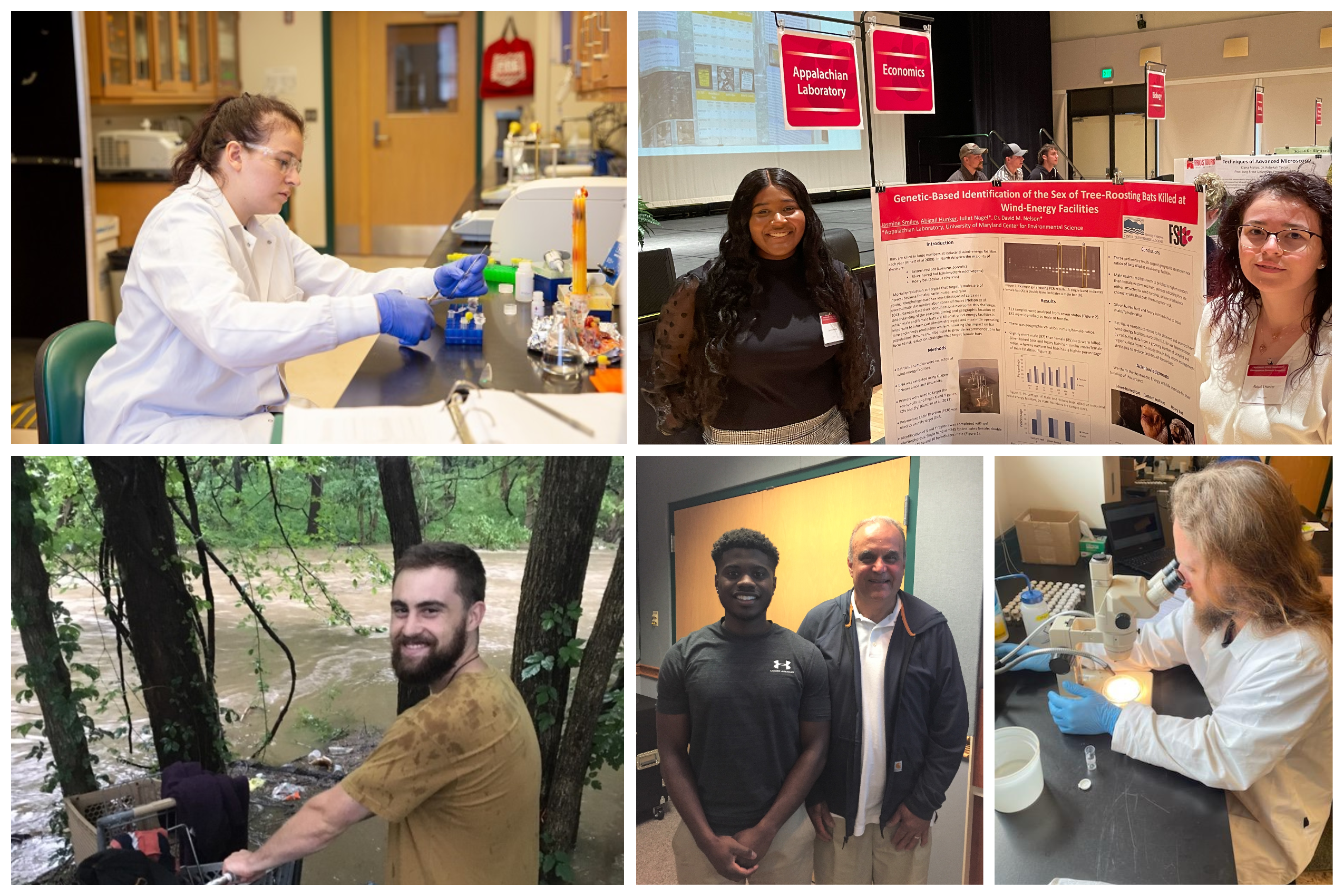 Collage image of interns working in the field and in the lab and presenting findings.