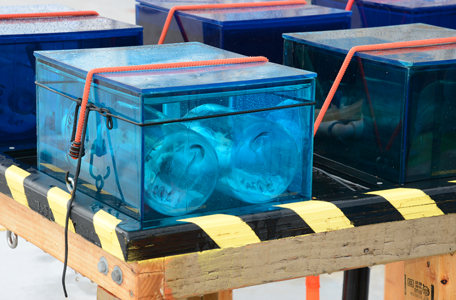 Close up of incubation boxes