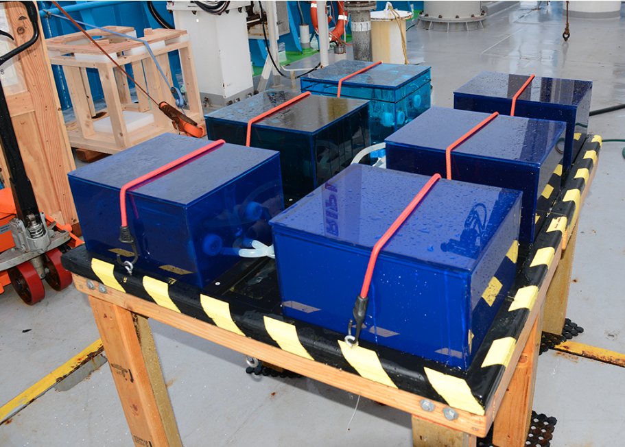 Incubation tanks on the Indian Ocean expedition cruise