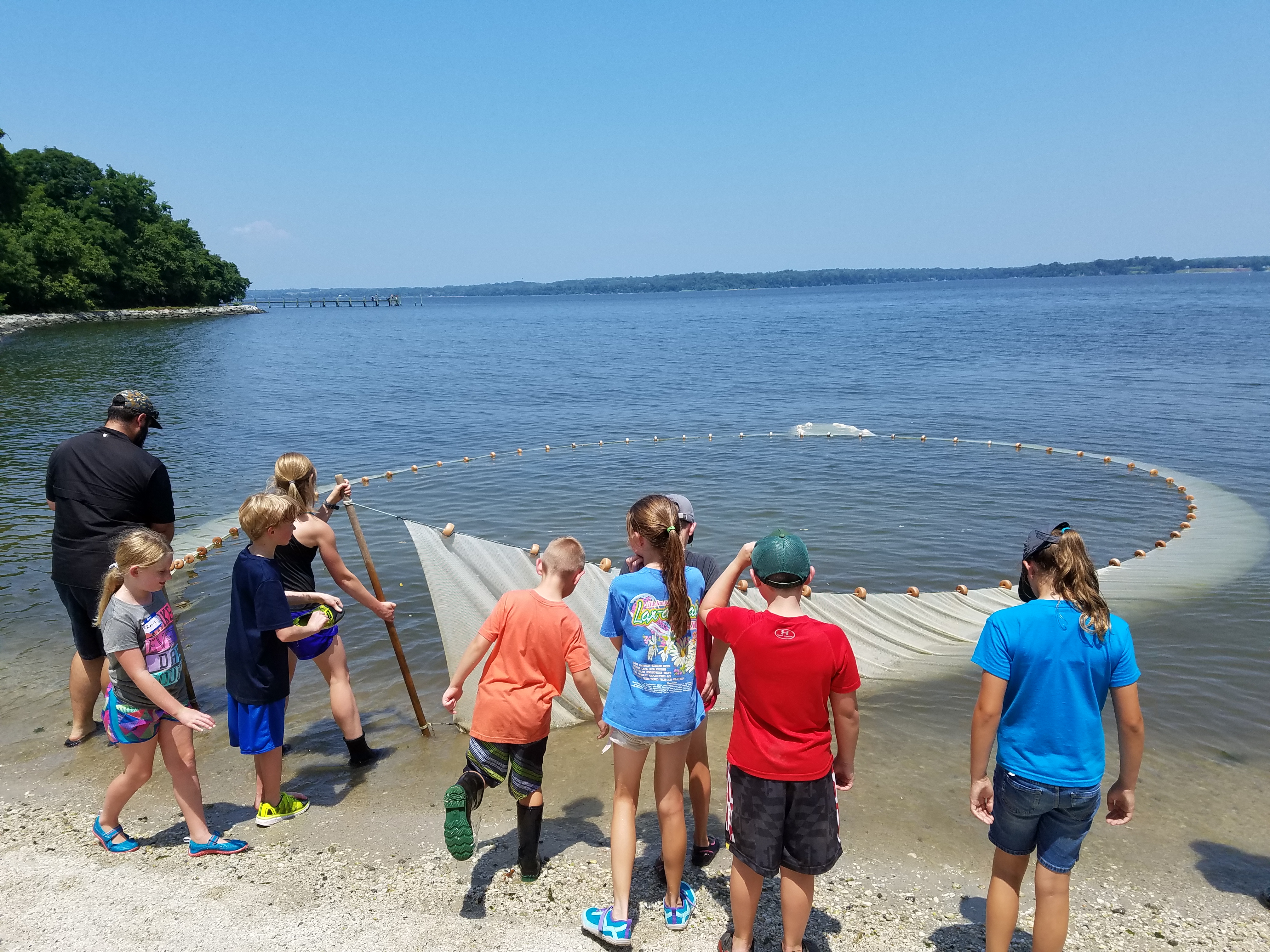 Fish were encircled in the seine net and pulled in at the shoreline.