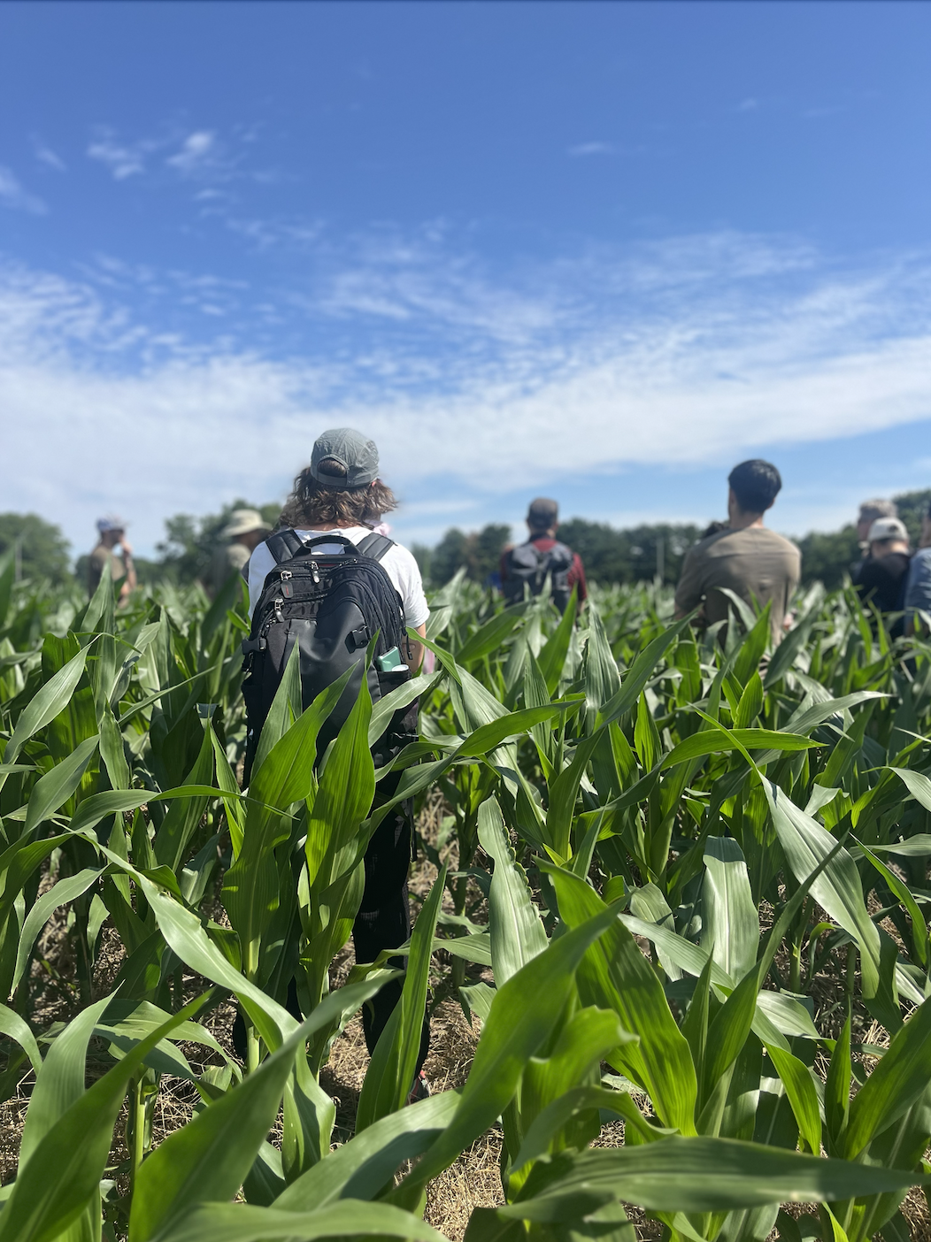 Nitrogen Summer Institute participants visit Harborview Farms in Rock Hall, MD and hear about nitrogen management along the food supply chain from farm to fork.