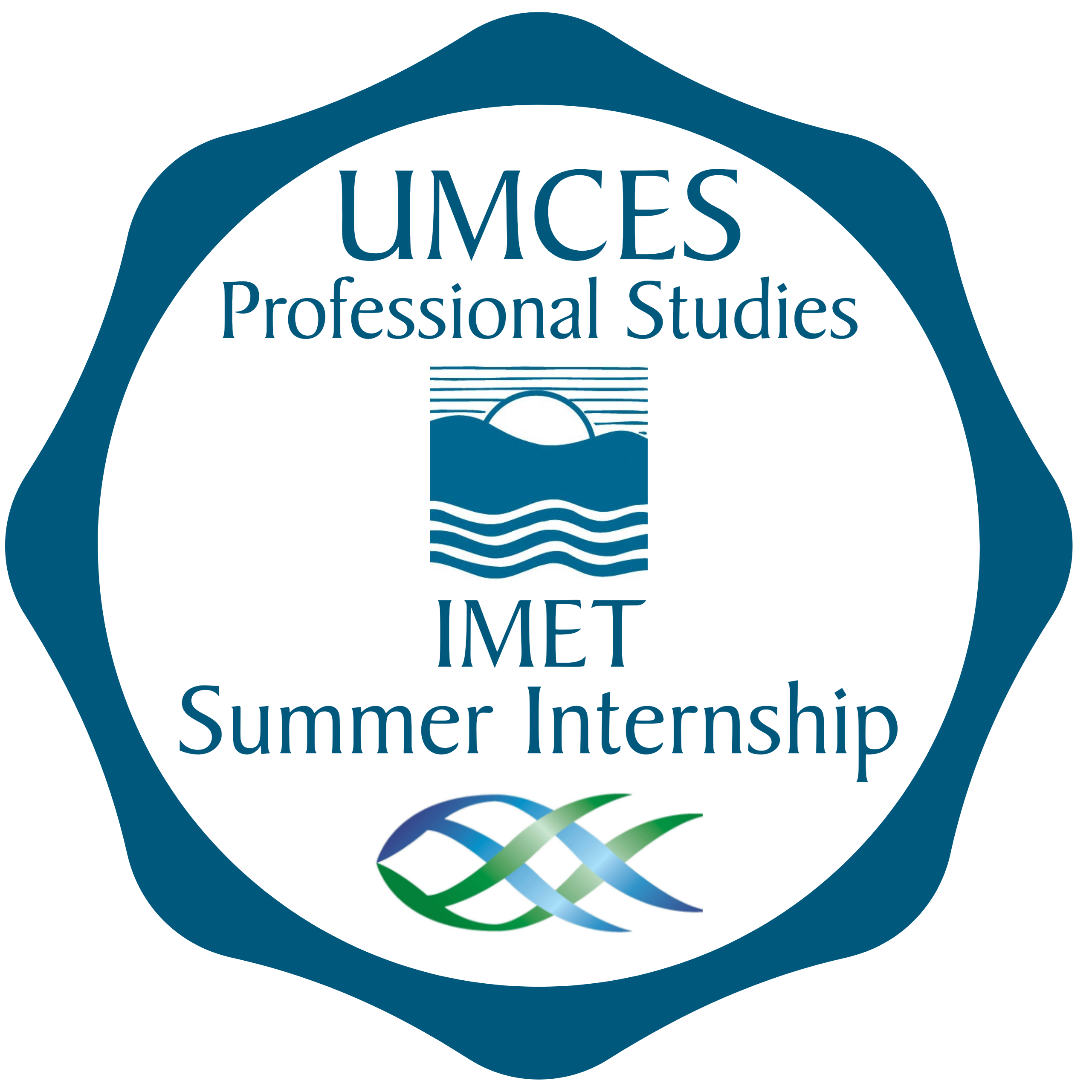 IMET Summer Internship Logo