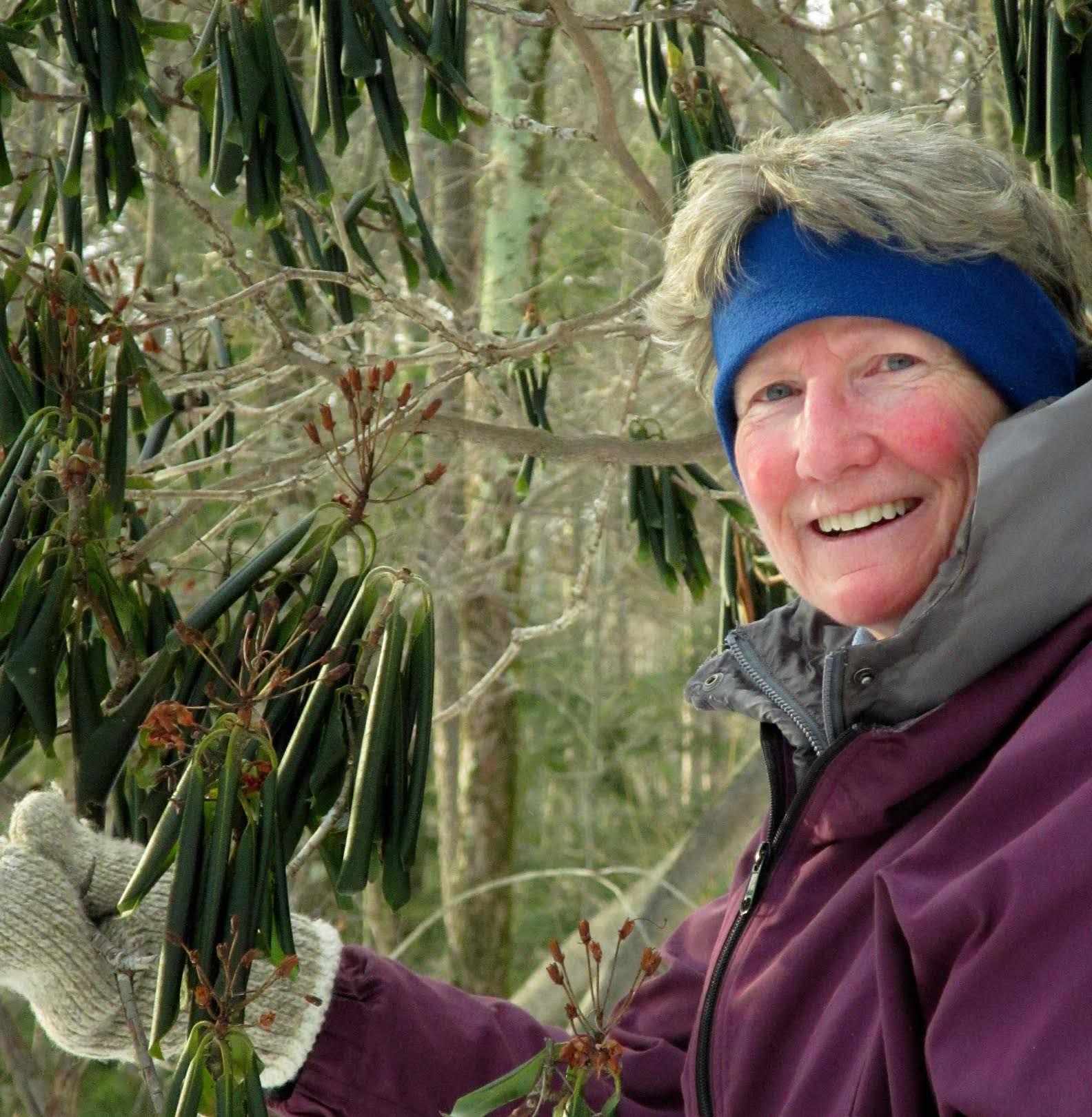 Johnson Award Winner Liz McDowell