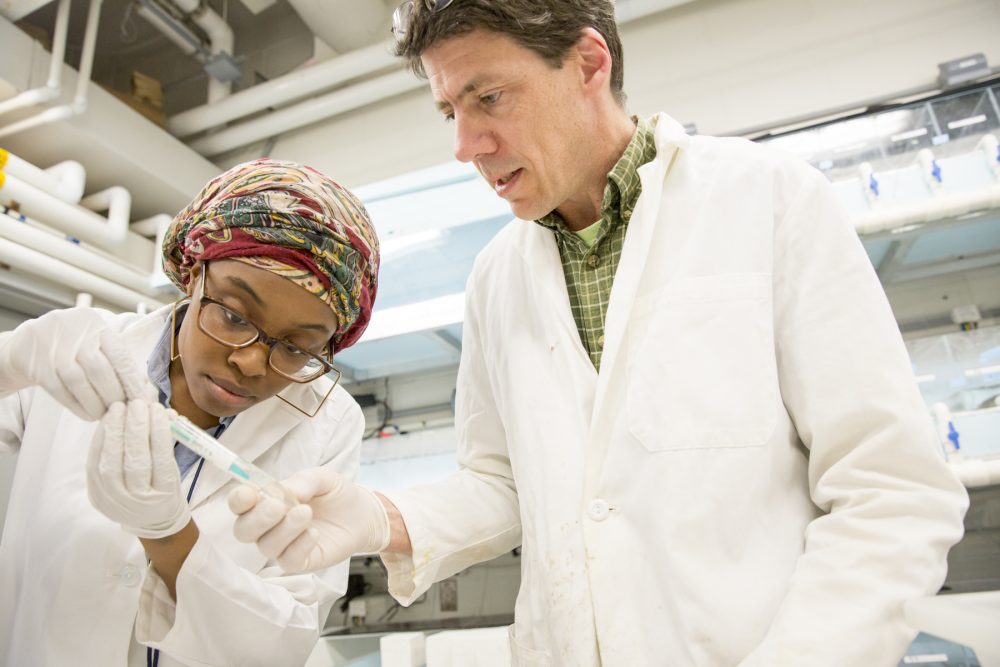IMET Prof. Eric Schott and his student in his lab.