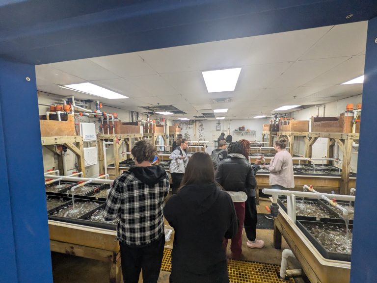In an oyster hatchery lab, several people gather around tanks observing the oysters.