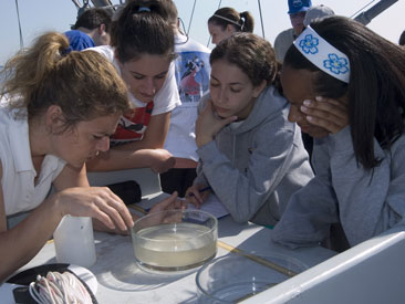 A group of students make an observation in the REU program.
