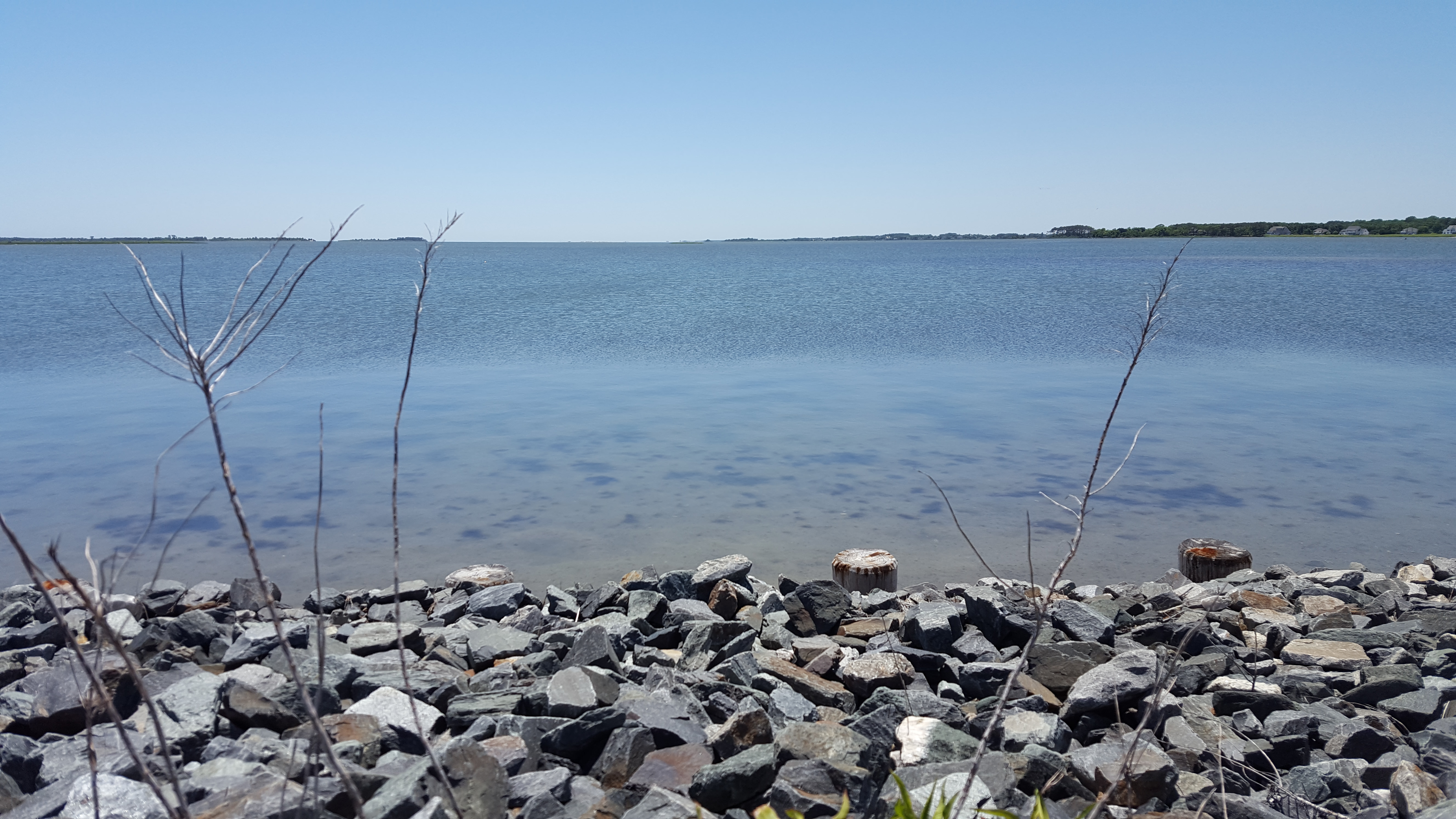 A view of the Chesapeake Bay