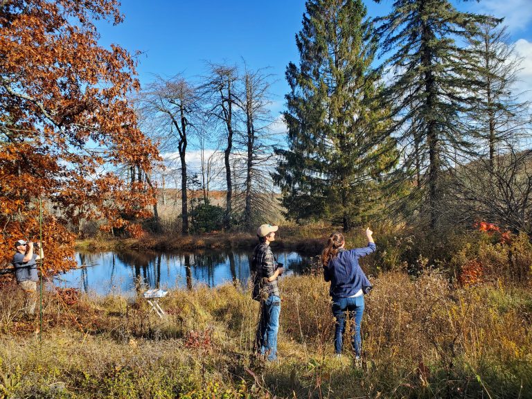 Researchers stand in woods collecting data