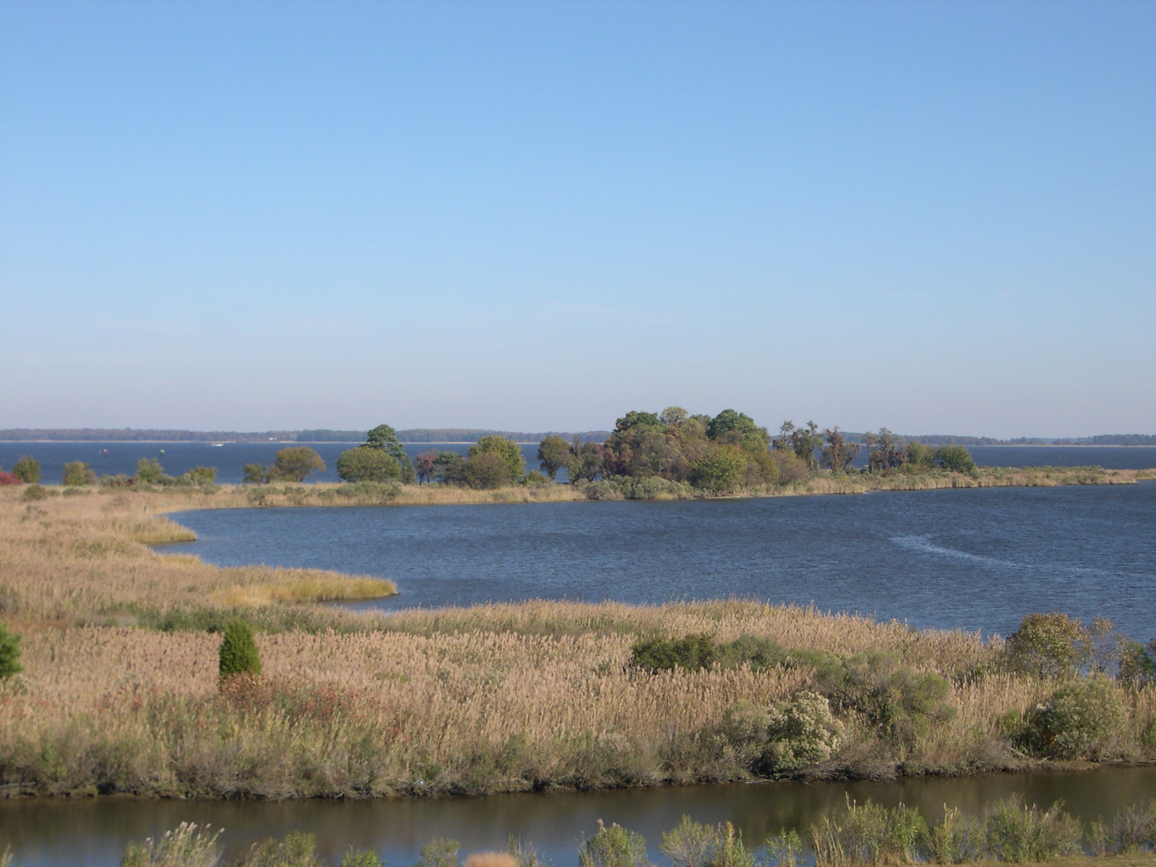 University of Maryland Center for Environmental Science Partners with Council Fire to Scale Science-Based Sustainability Solutions