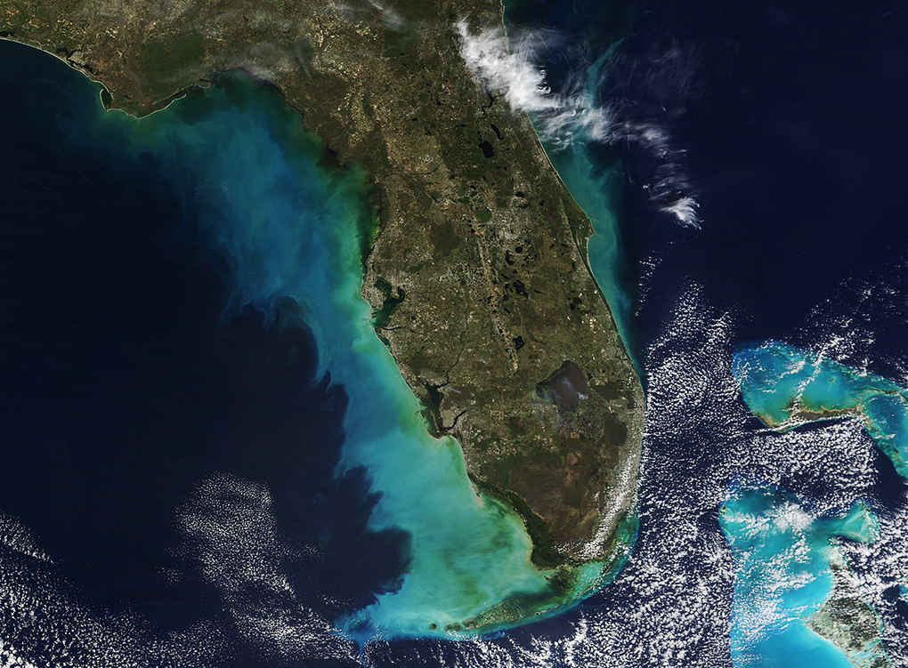 ewel-toned waters created a bright halo around much of Florida on February 14, 2023, when the Moderate Resolution Imaging Spectroradiometer (MODIS) on board NASA’s Terra satellite acquired a true-color image of the region.