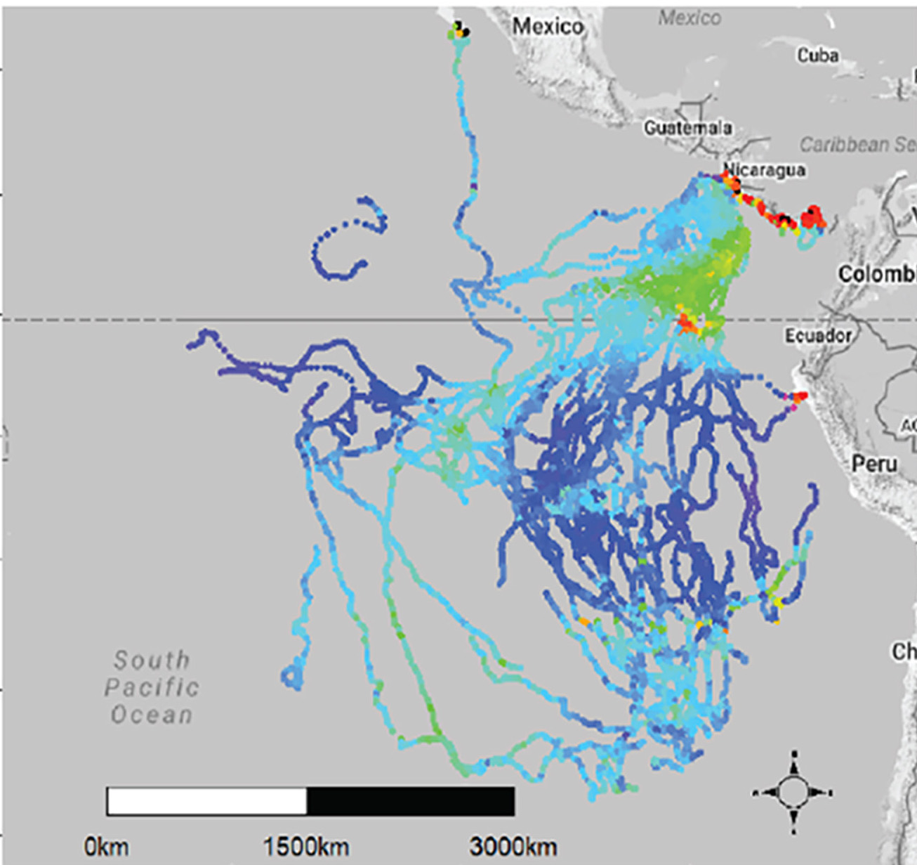 Leatherback turtle tracking map off coast of South and Central America