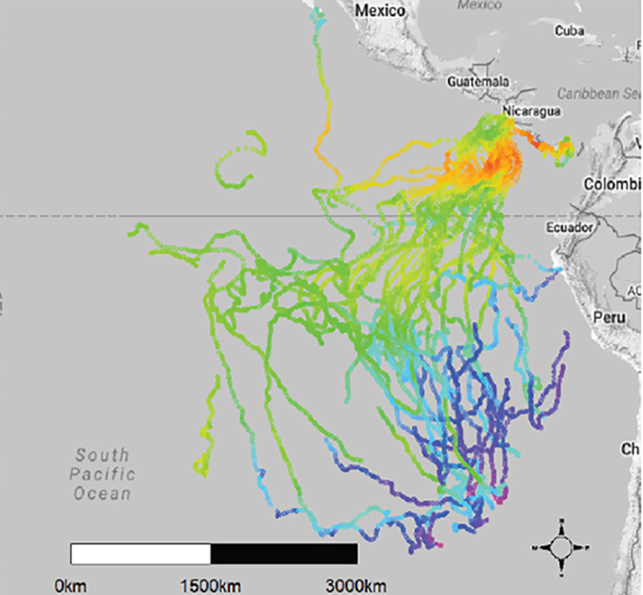 Leatherback turtle tracking map off coast of South and Central America