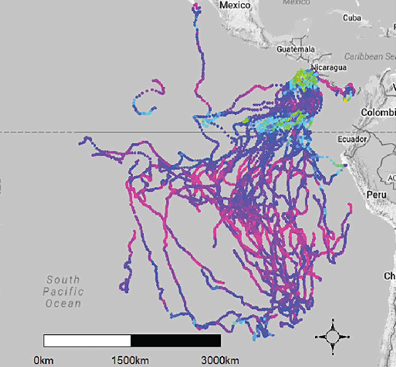 Leatherback turtle tracking map off coast of South and Central America
