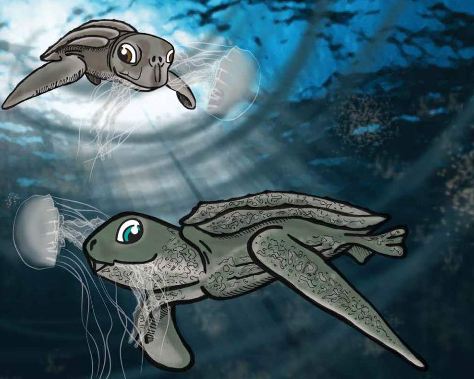 A page from the Grande Turtle Adventure
