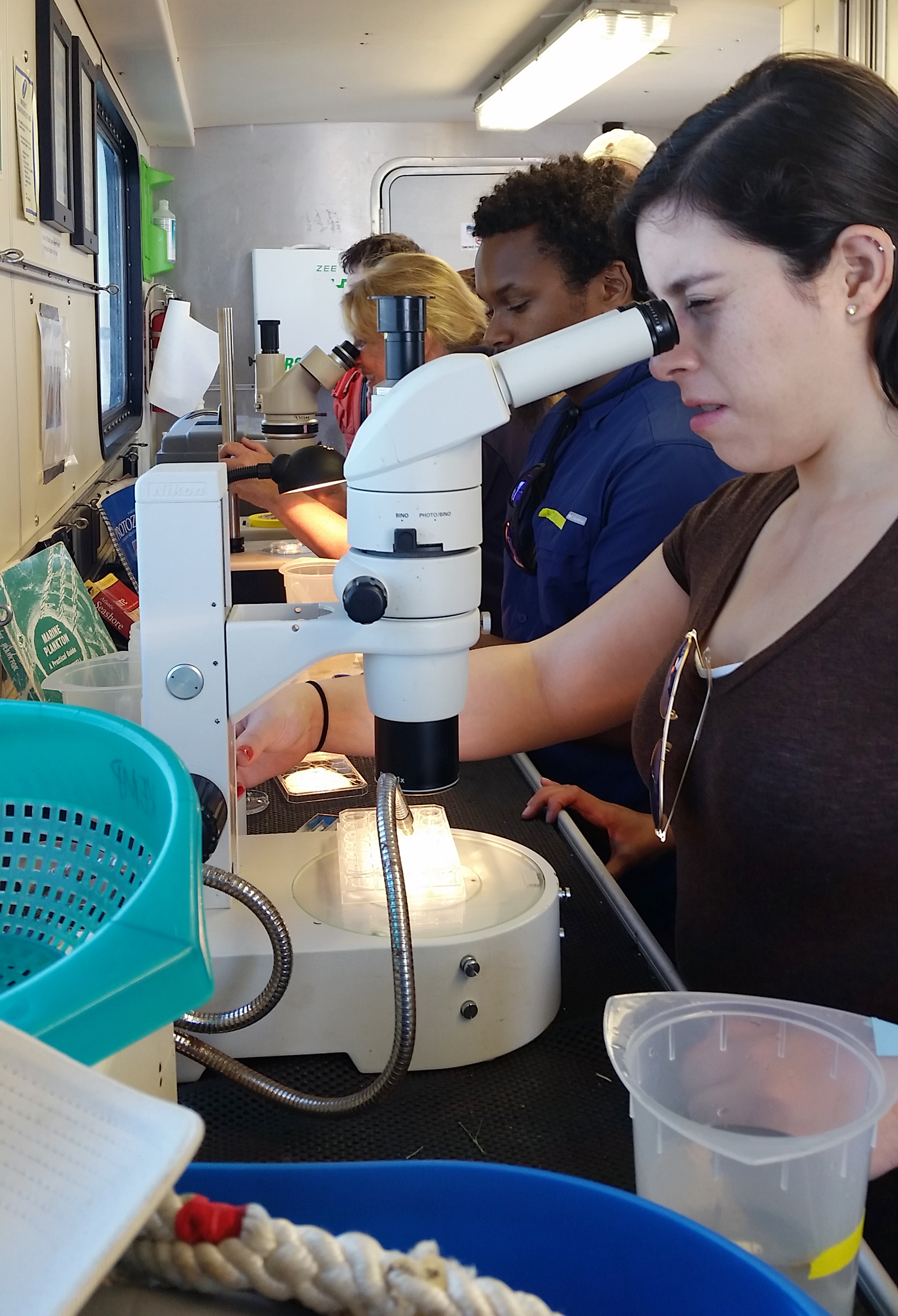 Ana Sosa, a graduate student at IMET, peers into a microscope to identify plankton pulled from the water.